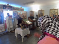 DSCN0393